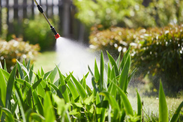 24/7 Emergency Termite Control experts in Bells, TN